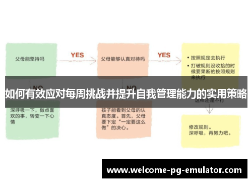 如何有效应对每周挑战并提升自我管理能力的实用策略