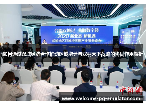 如何通过双城经济合作推动区域增长与双羽天下战略的协同作用解析