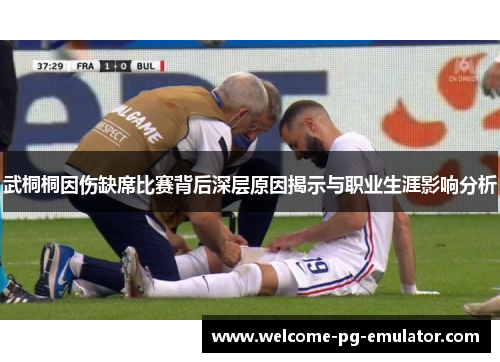 武桐桐因伤缺席比赛背后深层原因揭示与职业生涯影响分析