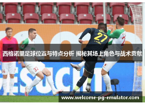 西格诺里足球位置与特点分析 揭秘其场上角色与战术贡献