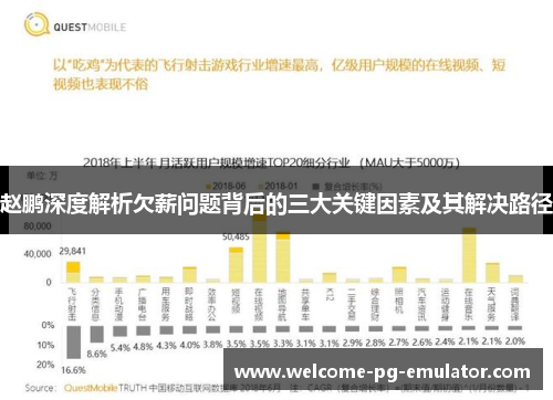 赵鹏深度解析欠薪问题背后的三大关键因素及其解决路径 赵鹏深度解析欠薪问题背后的三大关键因素及其解决路径