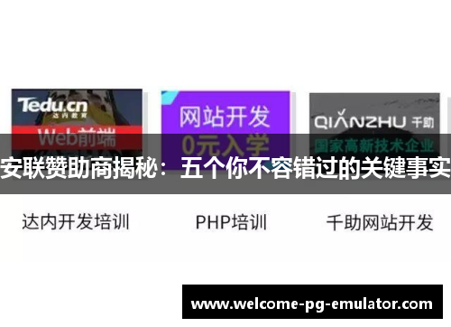 安联赞助商揭秘：五个你不容错过的关键事实