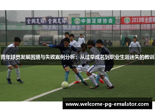 青年球员发展困境与失败案例分析：从过早成名到职业生涯迷失的教训