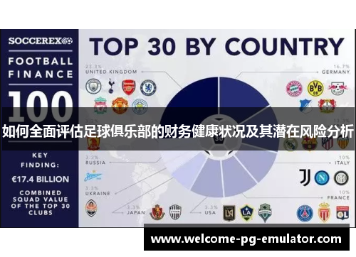 如何全面评估足球俱乐部的财务健康状况及其潜在风险分析 如何全面评估足球俱乐部的财务健康状况及其潜在风险分析
