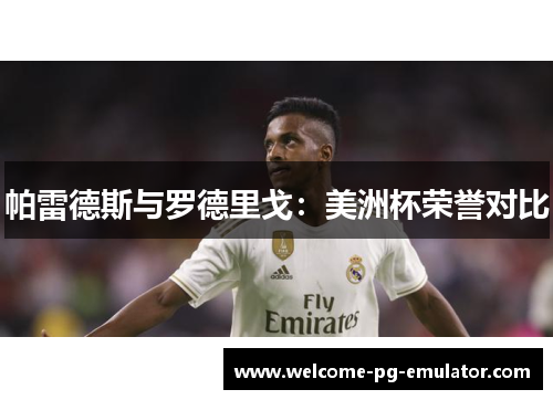 帕雷德斯与罗德里戈：美洲杯荣誉对比