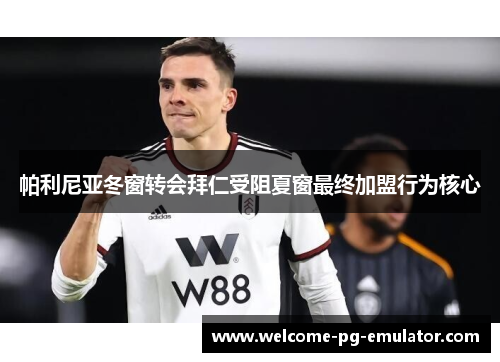 帕利尼亚冬窗转会拜仁受阻夏窗最终加盟行为核心