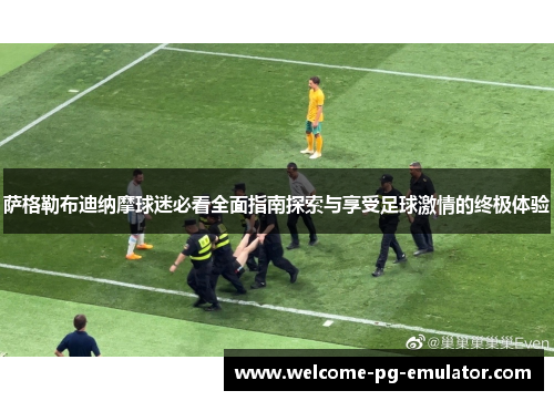 萨格勒布迪纳摩球迷必看全面指南探索与享受足球激情的终极体验