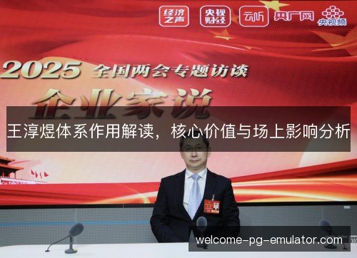 王淳煜体系作用解读,核心价值与场上影响分析 王淳煜体系作用解读,核心价值与场上影响分析